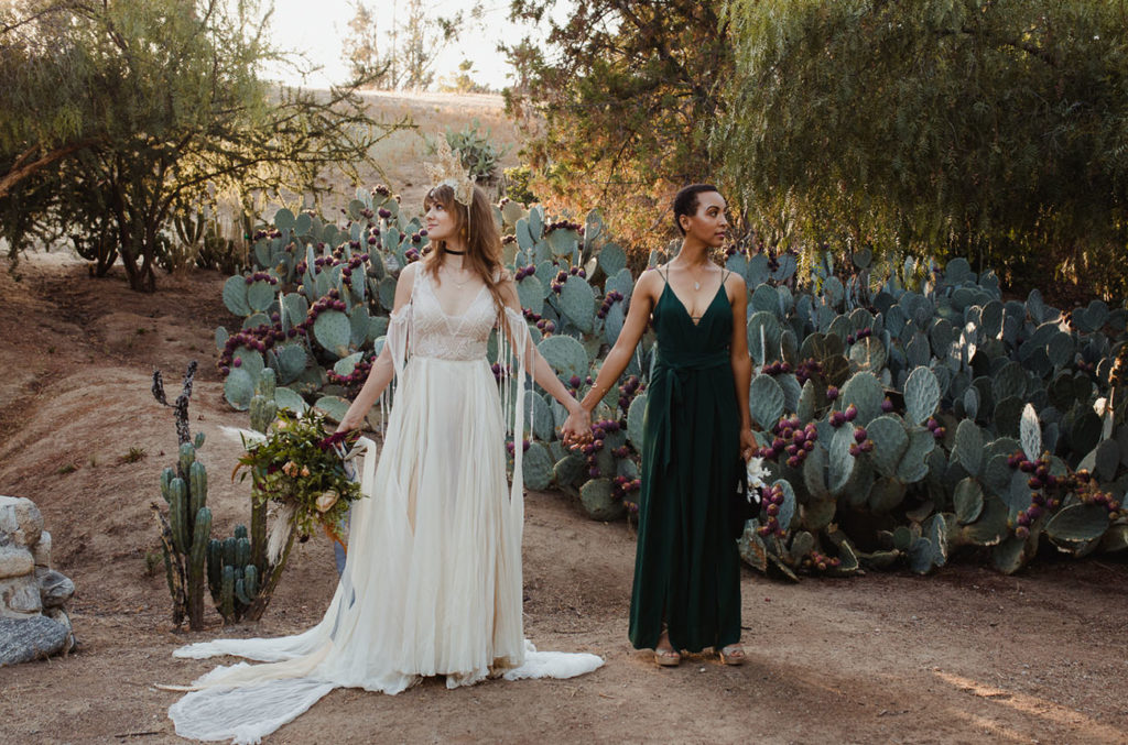 The Stonehurst Wedding Venue | Cactus Garden 